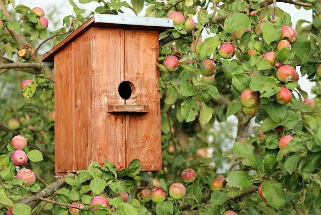 Birdhouse Cottage Apple Tree Jack  - klimkin / Pixabay