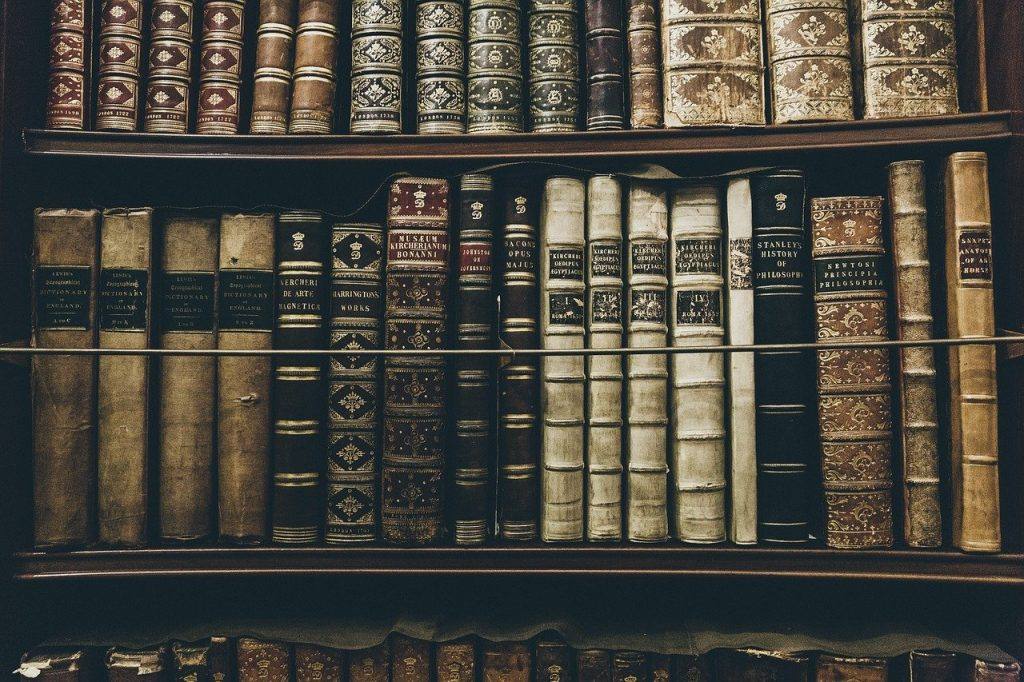 Books Library Reading Education  - StockSnap / Pixabay