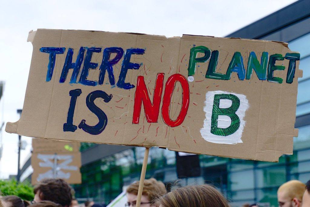 Fridays For Future Climate Strike  - NiklasPntk / Pixabay