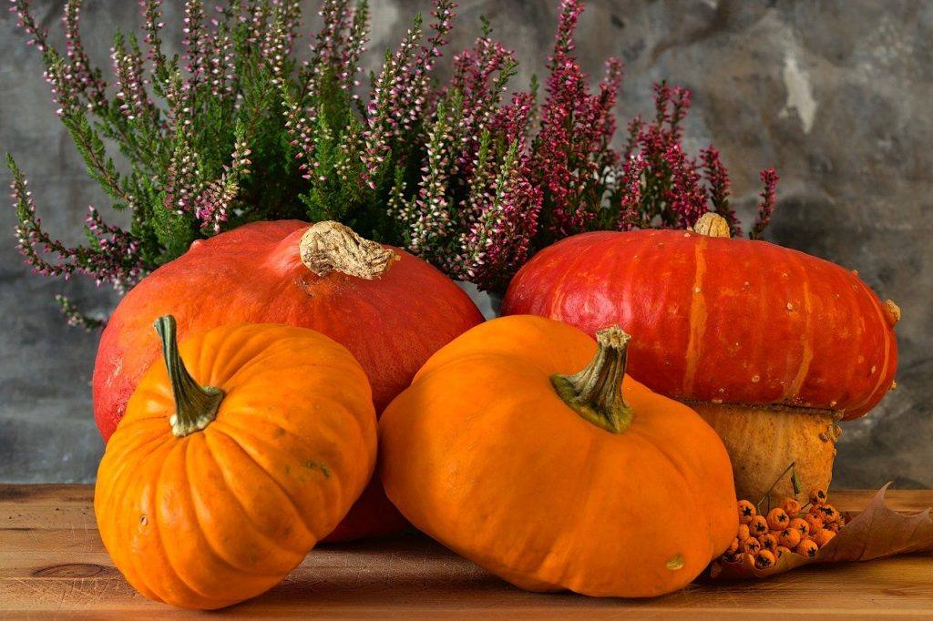 Pumpkins Heather Vegetables  - lovini / Pixabay