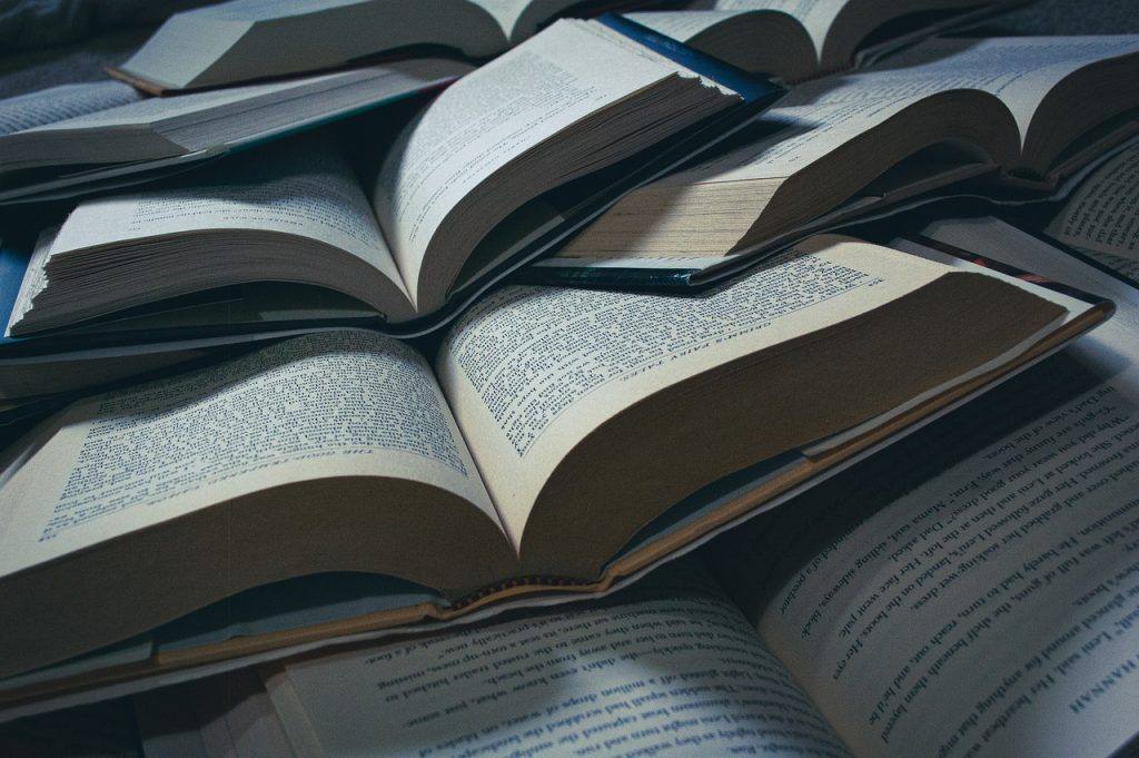 Books School Learning Reading  - MeganLeeB / Pixabay