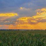 Field Farm Sunset Sunlight Clouds  - Сандр / Pixabay