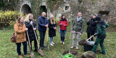 Regional: Baumpflanzaktion am Pilgerwanderweg