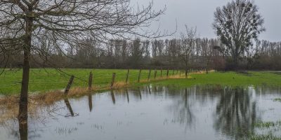 Regional: Wetterexperte erwartet Nahe-Hochwasser