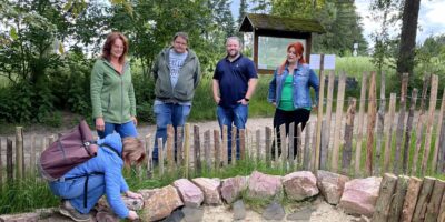 Mainz-Bingen: Neue Nistplätze für Wildbienen