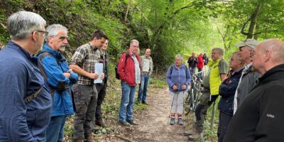 Mainz-Bingen: Waldgang von Stadtrat und Ausschuss