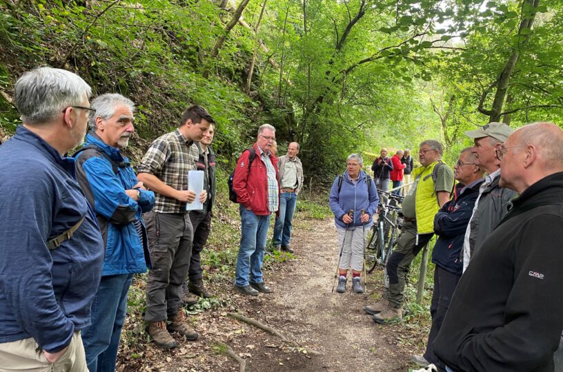 Waldgang von Stadtrat und Ausschuss