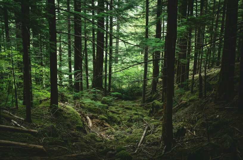 Klimaschutzstaatssekretär im Walderlebniszentrum