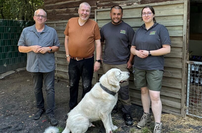 Weingartens Appell: Tierheime brauchen mehr Geld