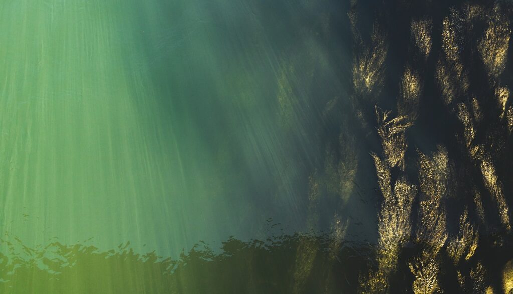 underwater, top view, water surface