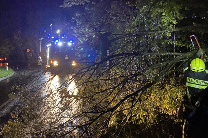 Sturm weht zwei Bäume bei Stromberg um