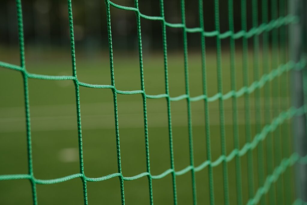 a green wire fence