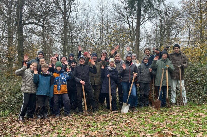 350 Bäume mehr im Lohrer Wald