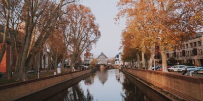 brown trees beside river during daytime