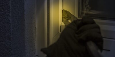 burglar, at night, window