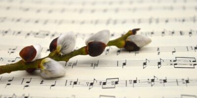 Mainz-Bingen: Sternsinger-Aktion in Partenheim