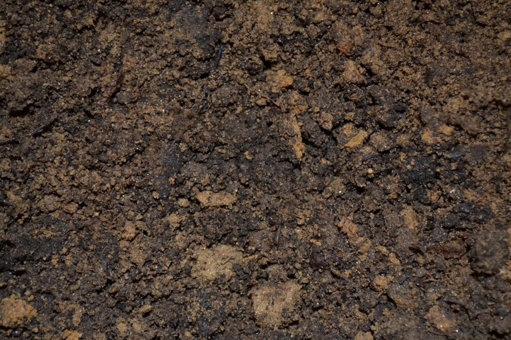 dirt, soil, potting, mix, ground, mud, planting, seedling, nature, garden, agriculture, gardening, earth, plant, growth, land, natural, cultivated, field, grow, sprout, brown, ecology, brown earth, brown garden, brown plant, brown growth, brown gardening, brown field, brown plants, brown natural, dirt, dirt, soil, soil, soil, soil, soil