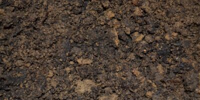 dirt, soil, potting, mix, ground, mud, planting, seedling, nature, garden, agriculture, gardening, earth, plant, growth, land, natural, cultivated, field, grow, sprout, brown, ecology, brown earth, brown garden, brown plant, brown growth, brown gardening, brown field, brown plants, brown natural, dirt, dirt, soil, soil, soil, soil, soil