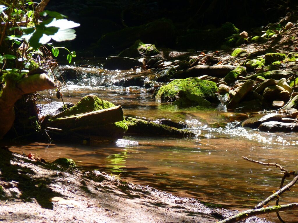 water, bach, flow, nature