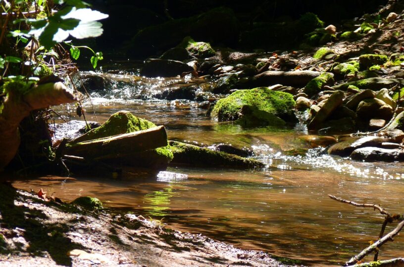 Förderung über 300.000 Euro für Herrstein-Rhaunen