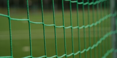 a green wire fence